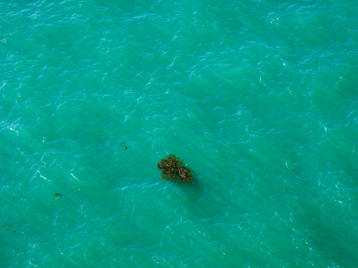 Photography & Imaging Faculty Exhibition